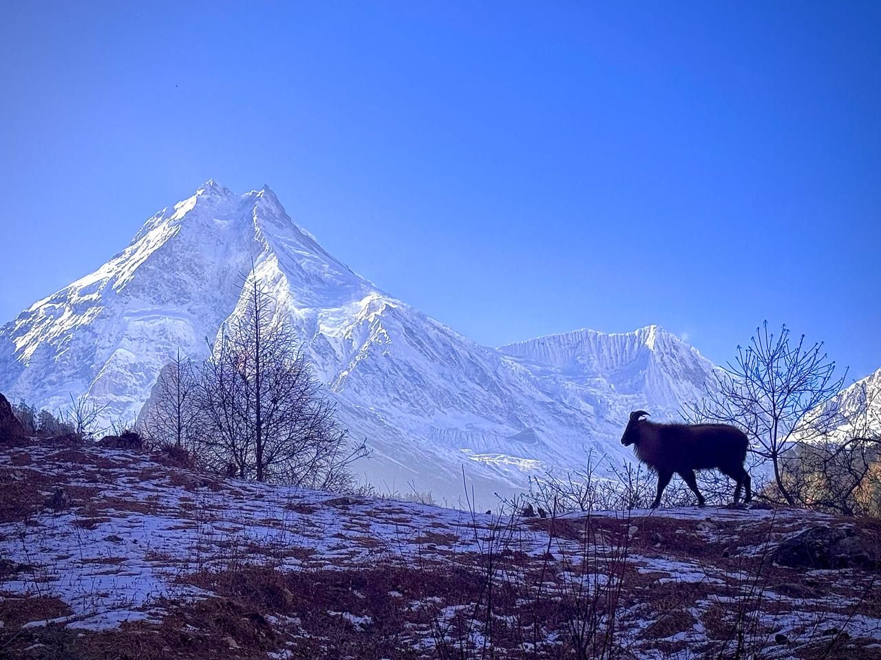 Book Manaslu Circuit Trek